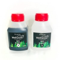 Big Plant (Компонент А+В)