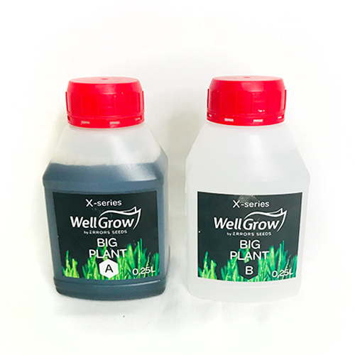 Big Plant (Component A+B)