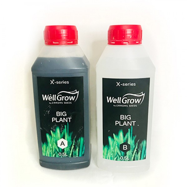 Big Plant (Component A+B)