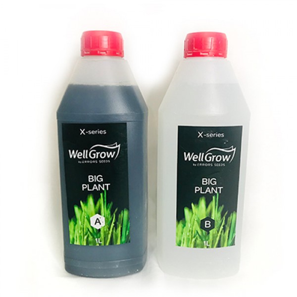 Big Plant (Component A+B)