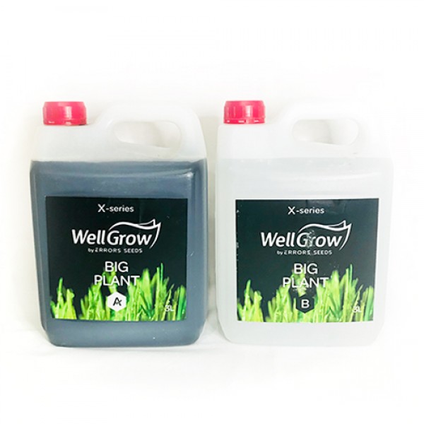 Big Plant (Component A+B)